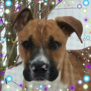 Meet your Posher, Kim